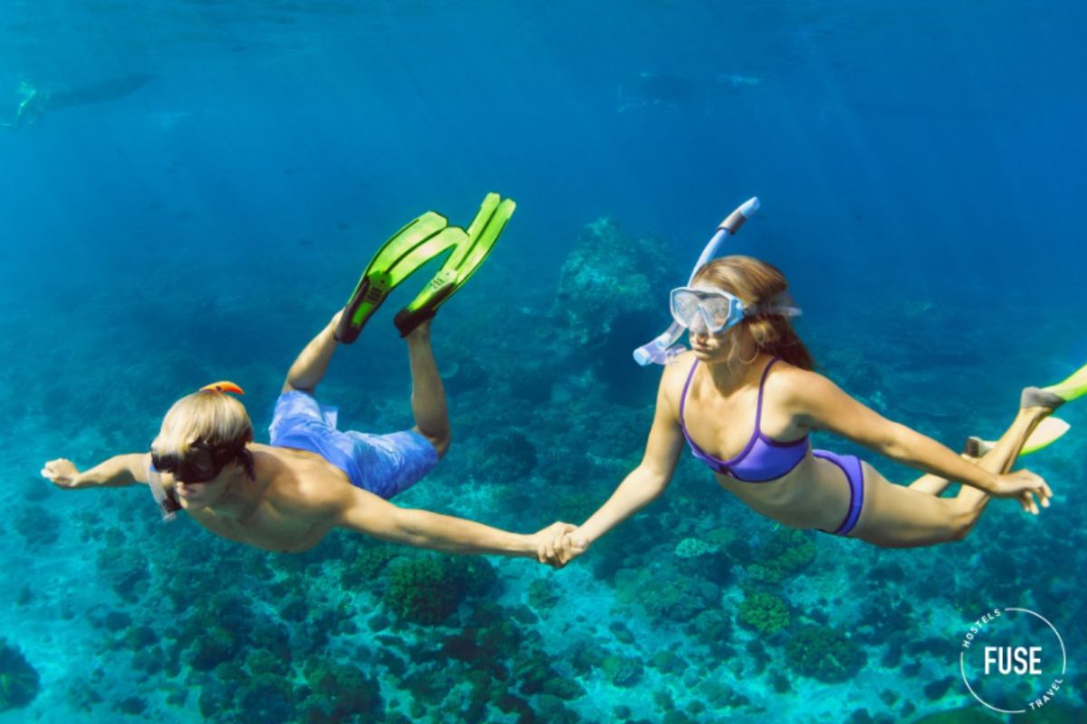 Chơi Gì Ở Nha Trang? Tổng hợp 10 Địa Điểm Tuyệt Vời Nhất Khi Du Lịch Nha Trang  image gallery 5