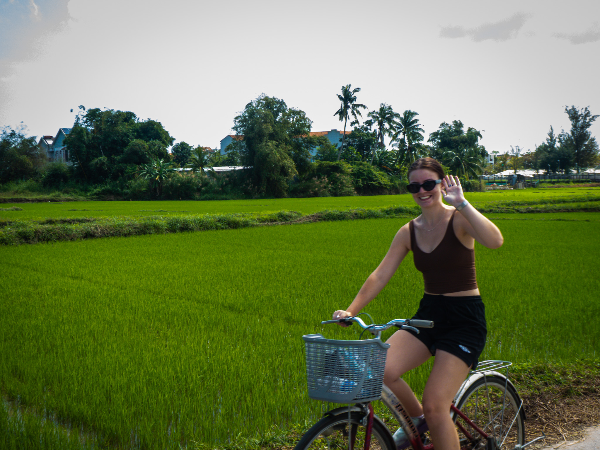 How to Get to Hoi An: A Complete Guide for Backpackers (2025) image gallery 5