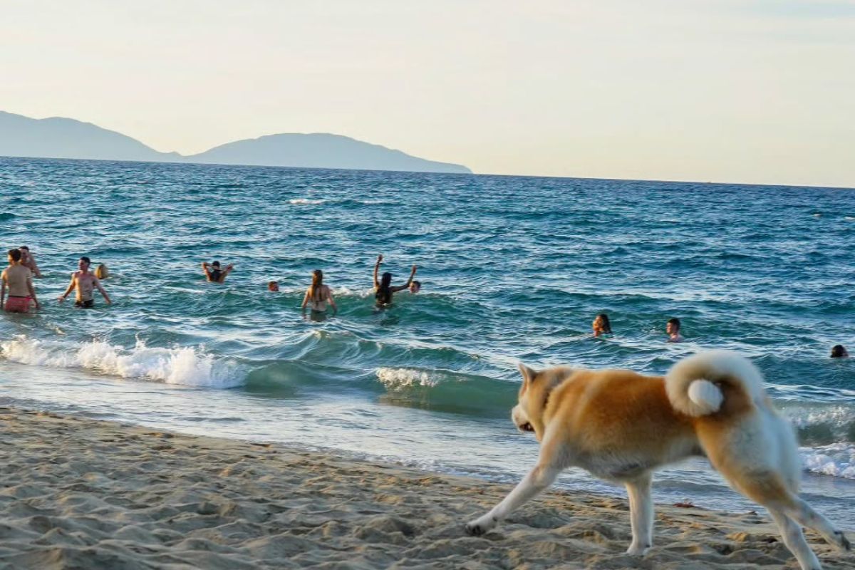 10 Trải Nghiệm Không Thể Bỏ Qua Khi Đến Hội An [Update 2025] image gallery 8