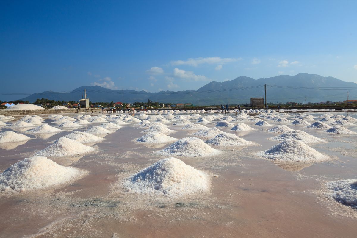 Chơi Gì Ở Nha Trang? Tổng hợp 10 Địa Điểm Tuyệt Vời Nhất Khi Du Lịch Nha Trang  image gallery 6