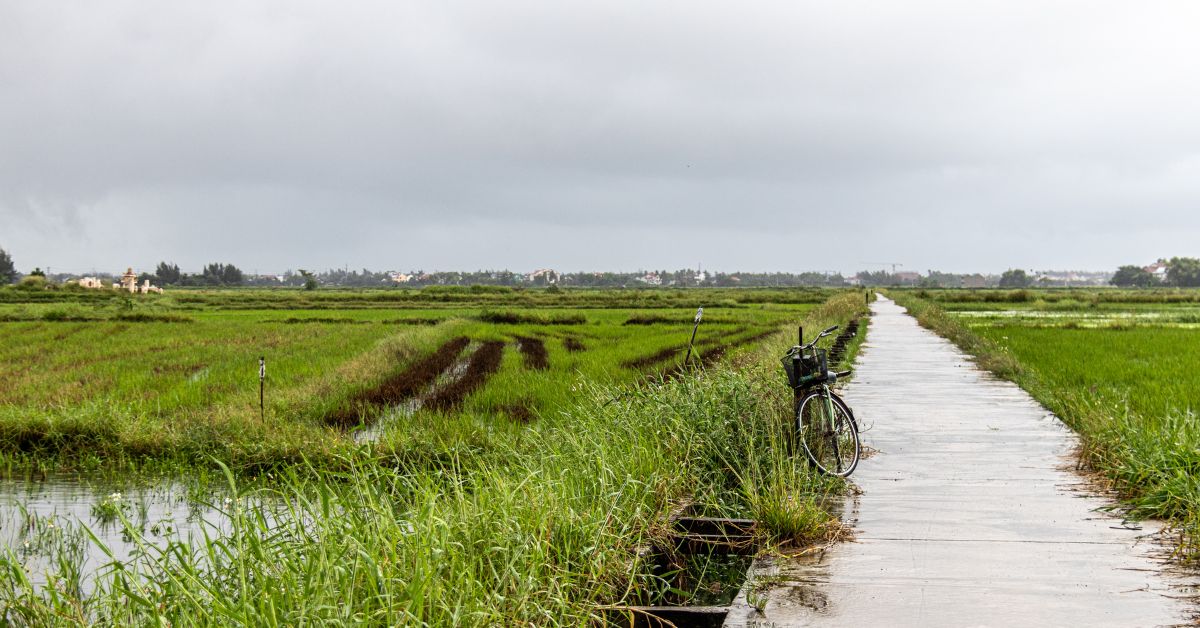 Hoi An Travel Guide for Backpackers [Updated 2025] image gallery 3