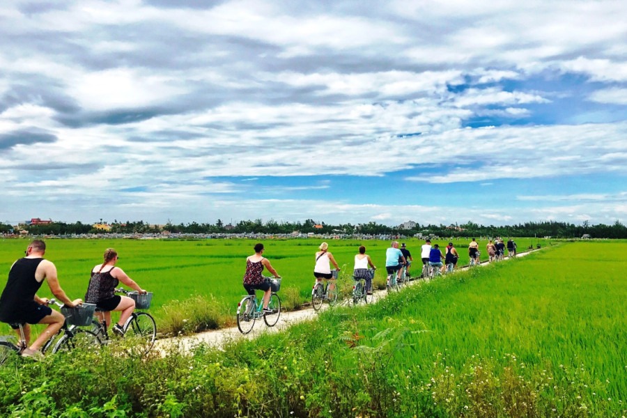 Hoi An Rice Fields Season Guide (2026): Best Time to Visit, Coffee Spots & Bike Tours image gallery 1